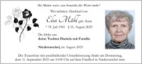 eine Anzeige